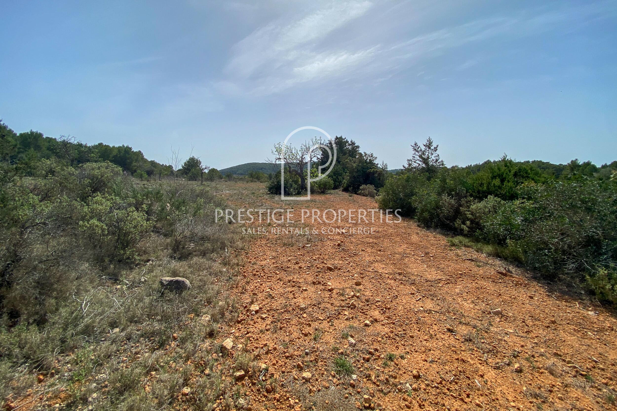land in San Mateu D'Albarca