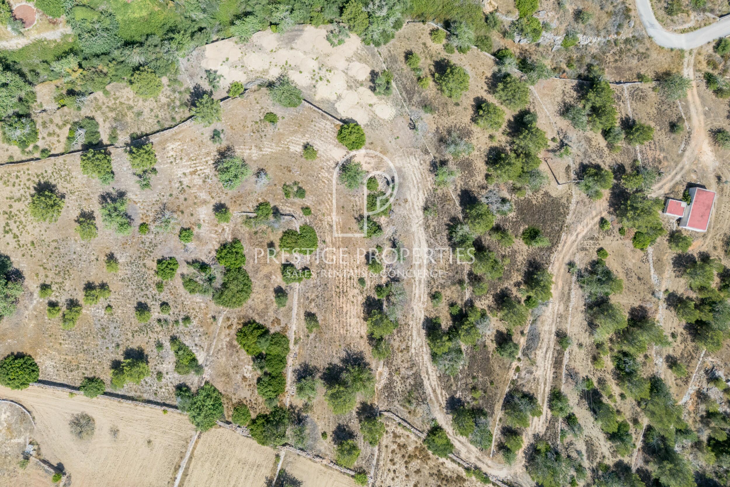 land in San Mateu D'Albarca