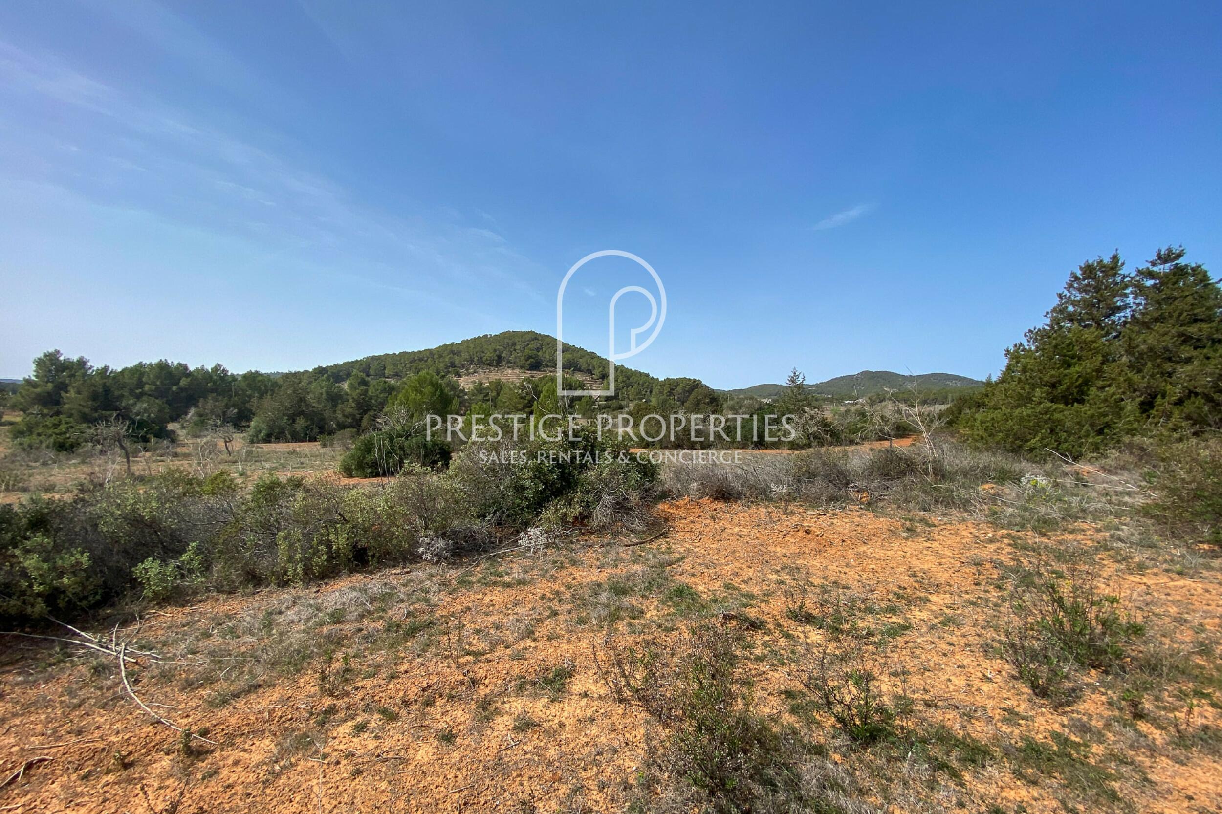 land in San Mateu D'Albarca