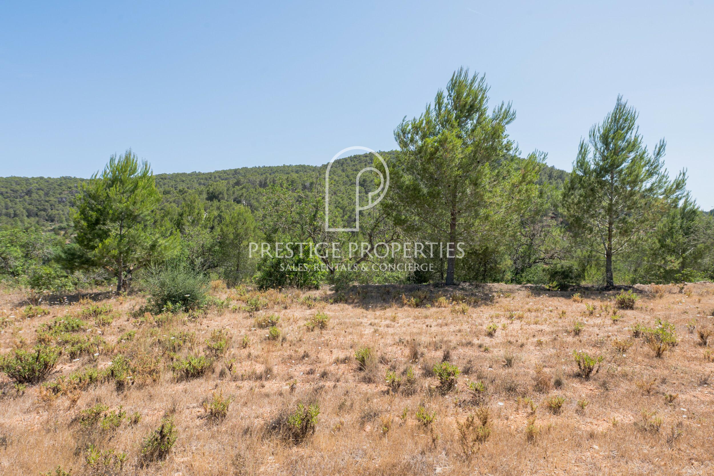 land in San Mateu D'Albarca