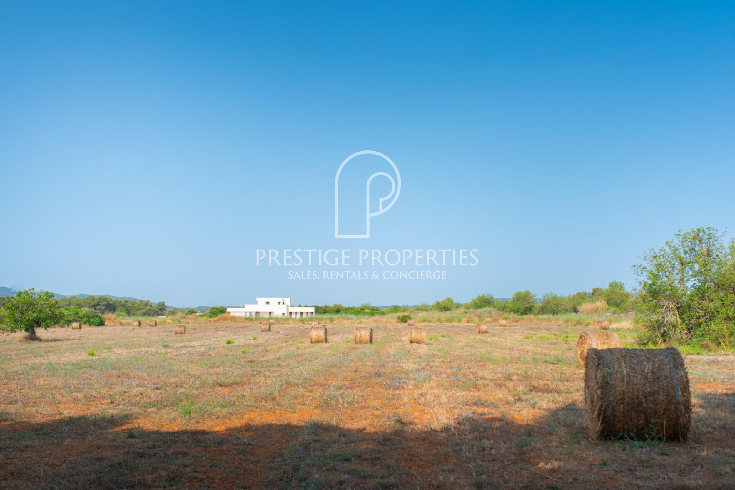 land in San Lorenzo de Balafia