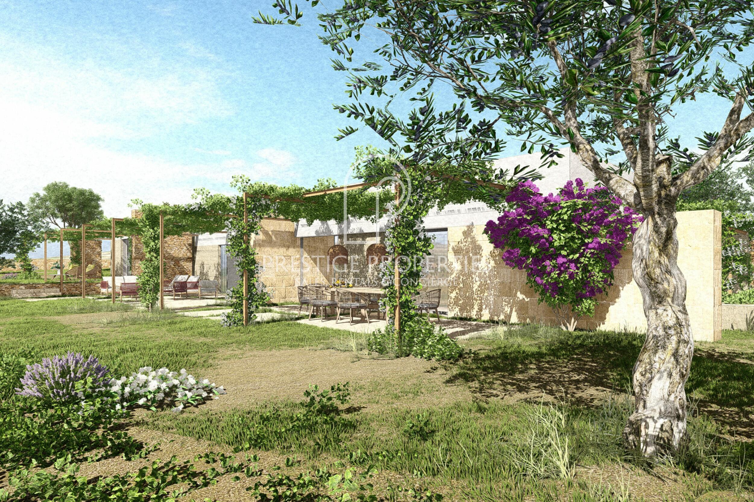 land in San Mateu D'Albarca
