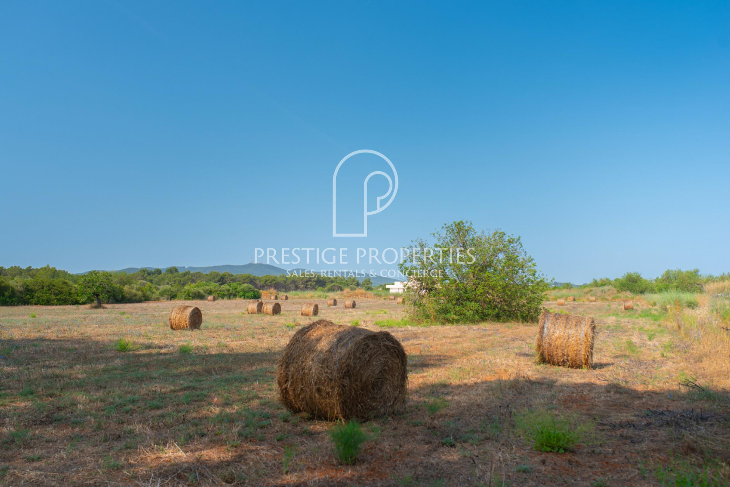 land in San Lorenzo de Balafia