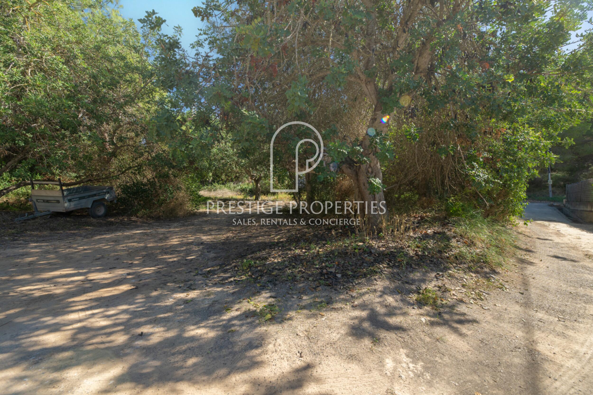 land in Ibiza (City)