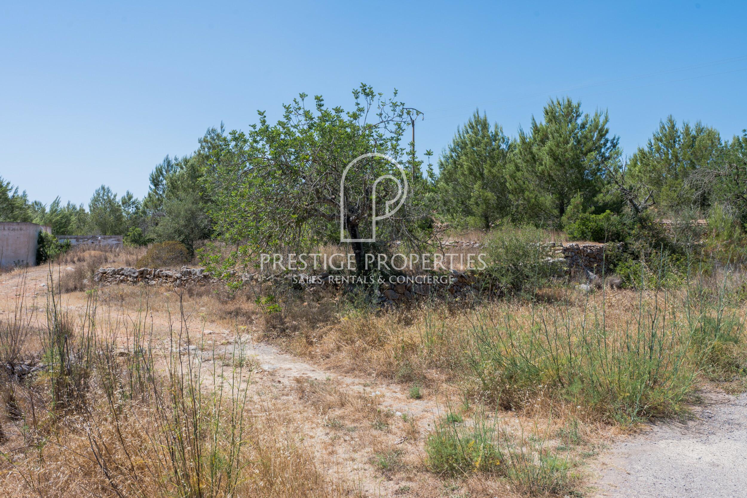 land in San Mateu D'Albarca