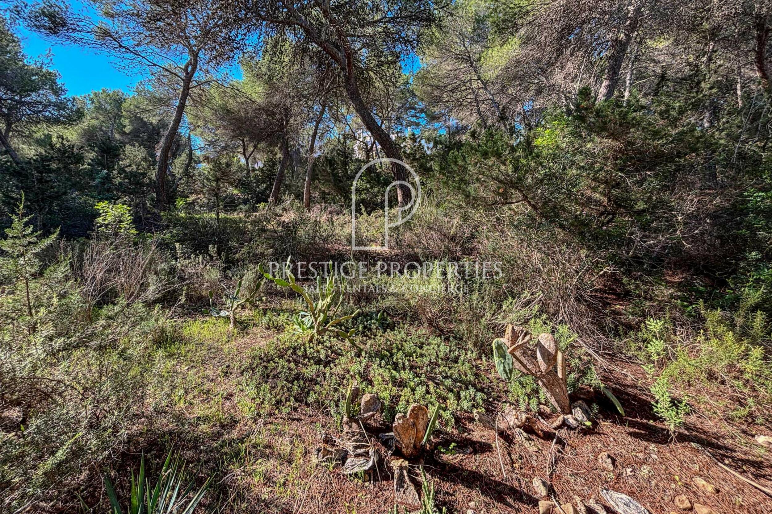 land in Cala Llenya