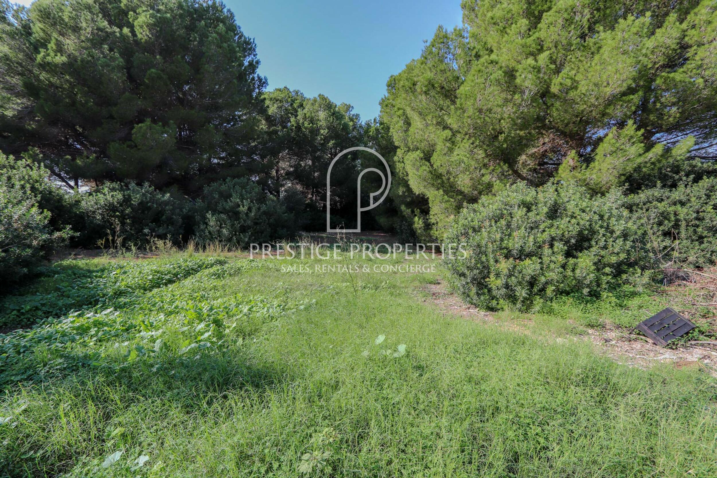 land in Es Canar