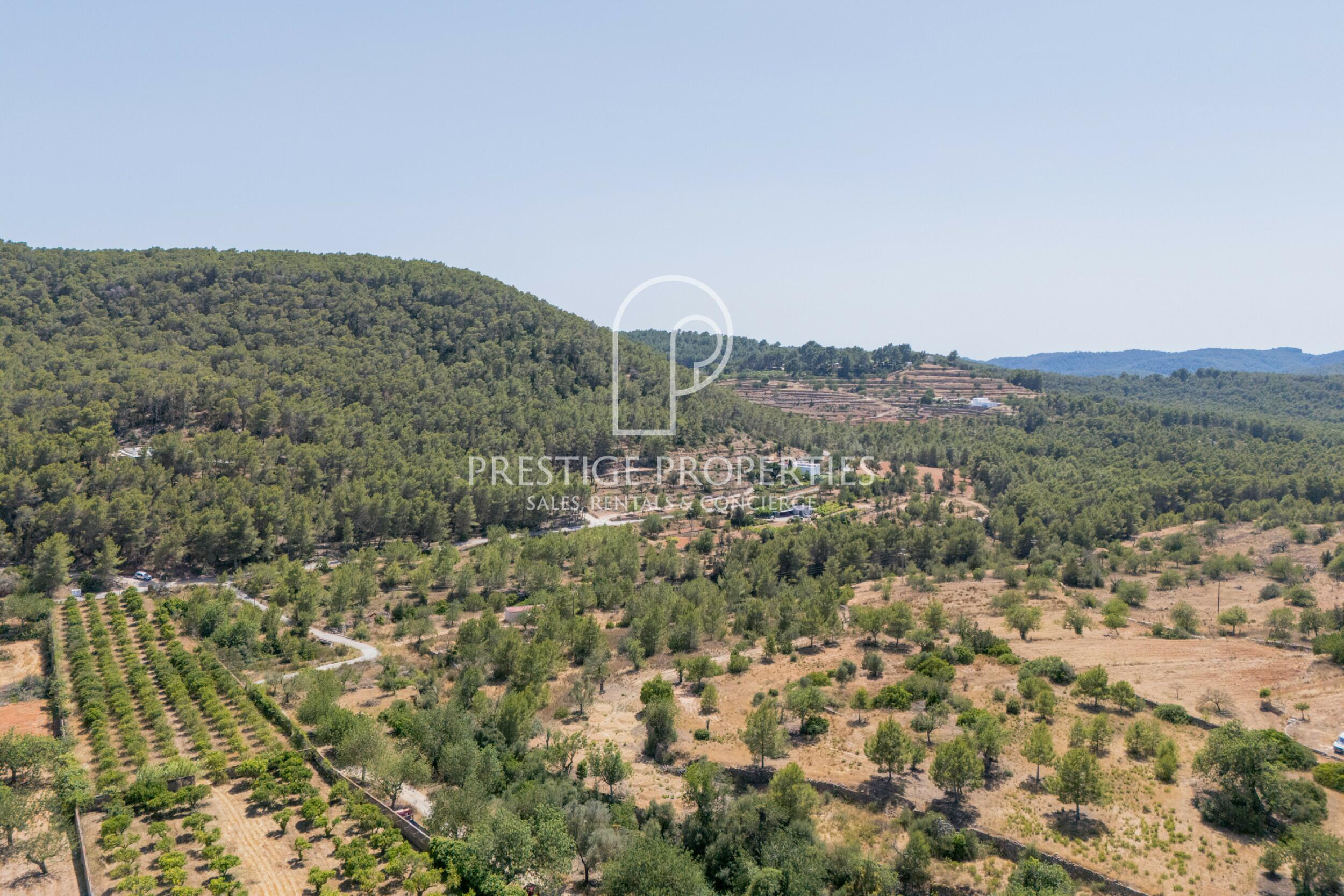 land in San Mateu D'Albarca