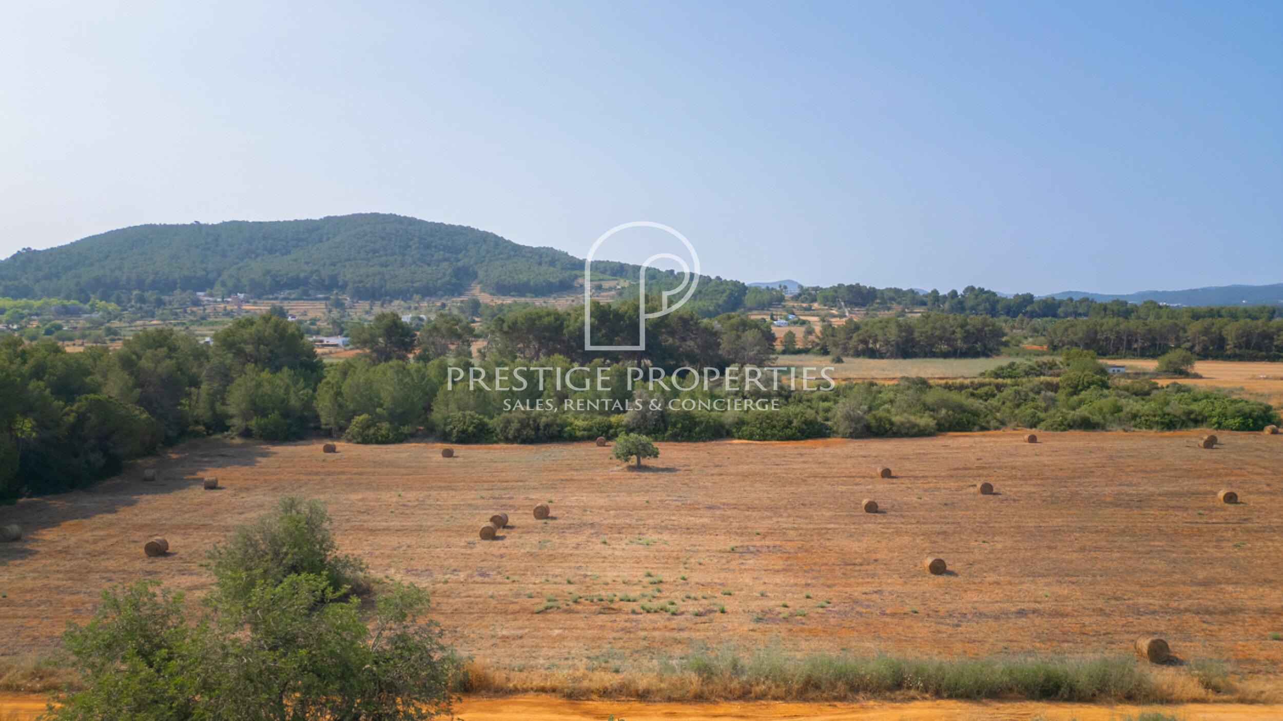 land in San Lorenzo de Balafia