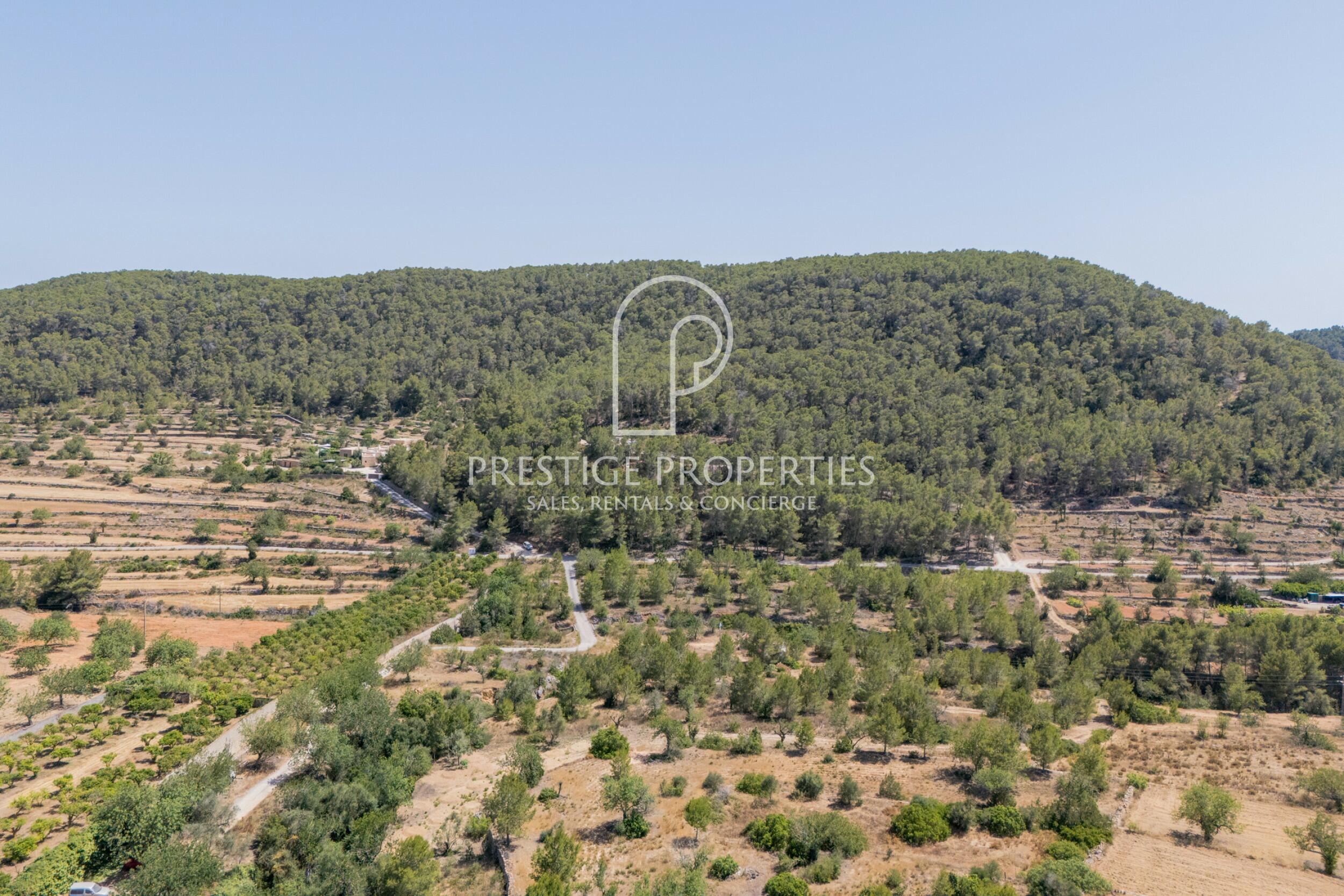 land in San Mateu D'Albarca