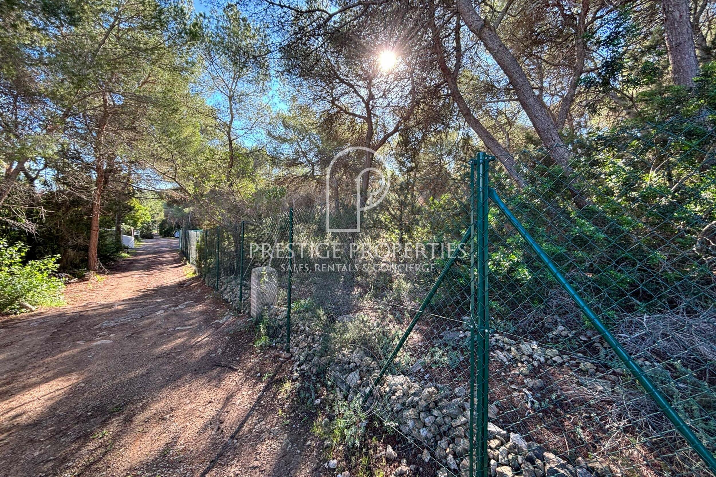 land in Cala Llenya