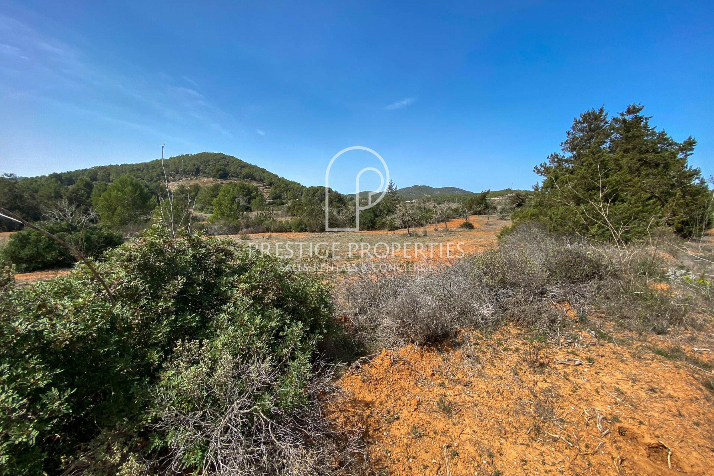 land in San Mateu D'Albarca