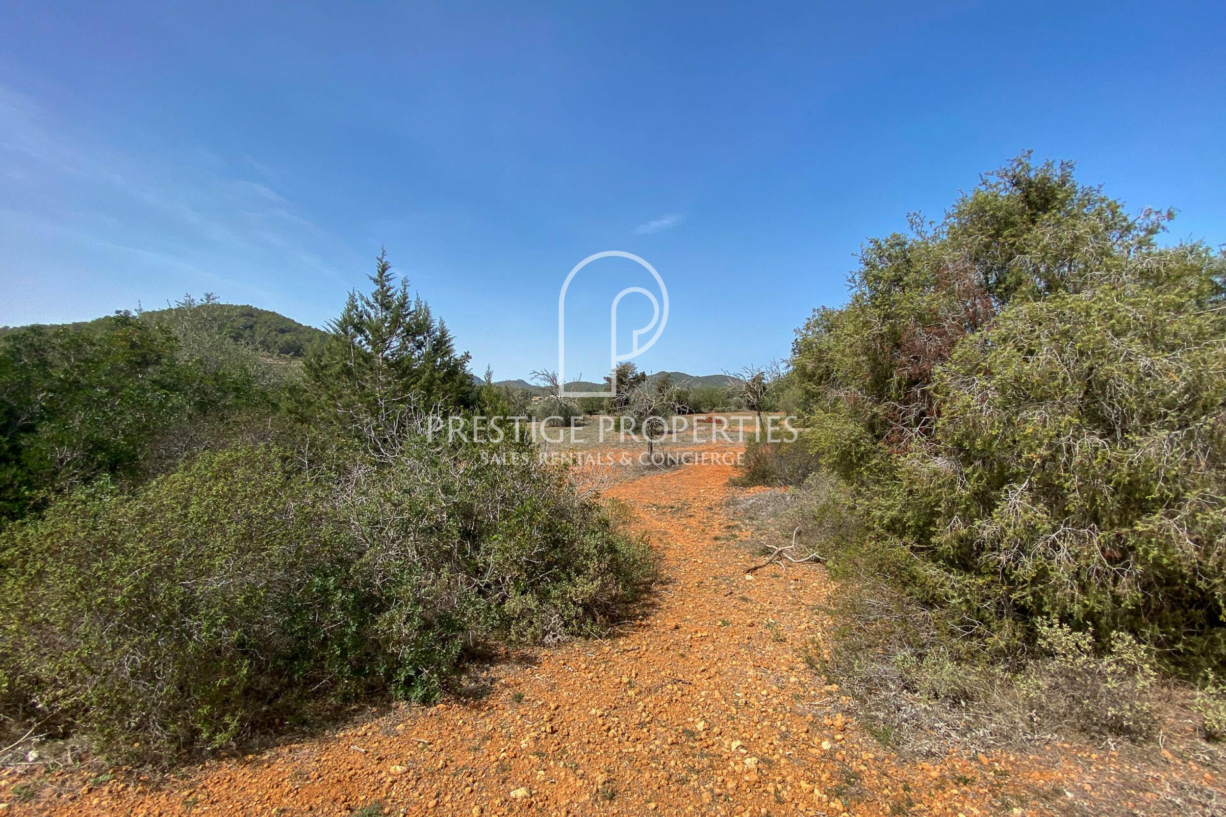 land in San Mateu D'Albarca