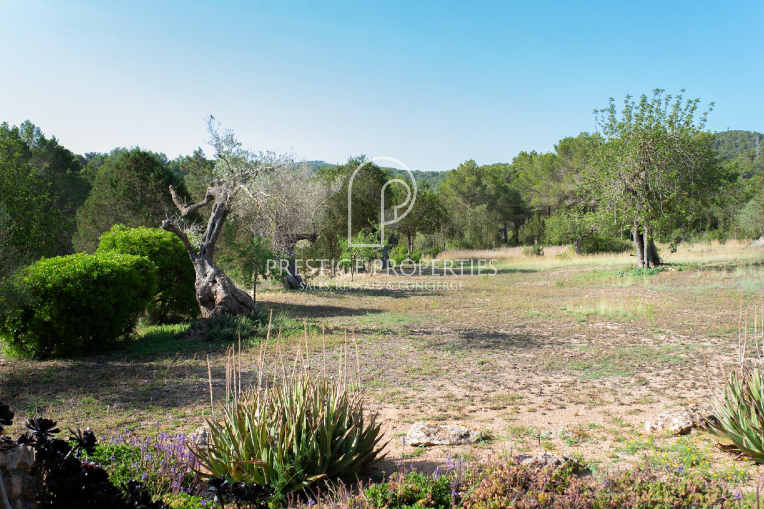 Finca in Benimussa (San Antonio)