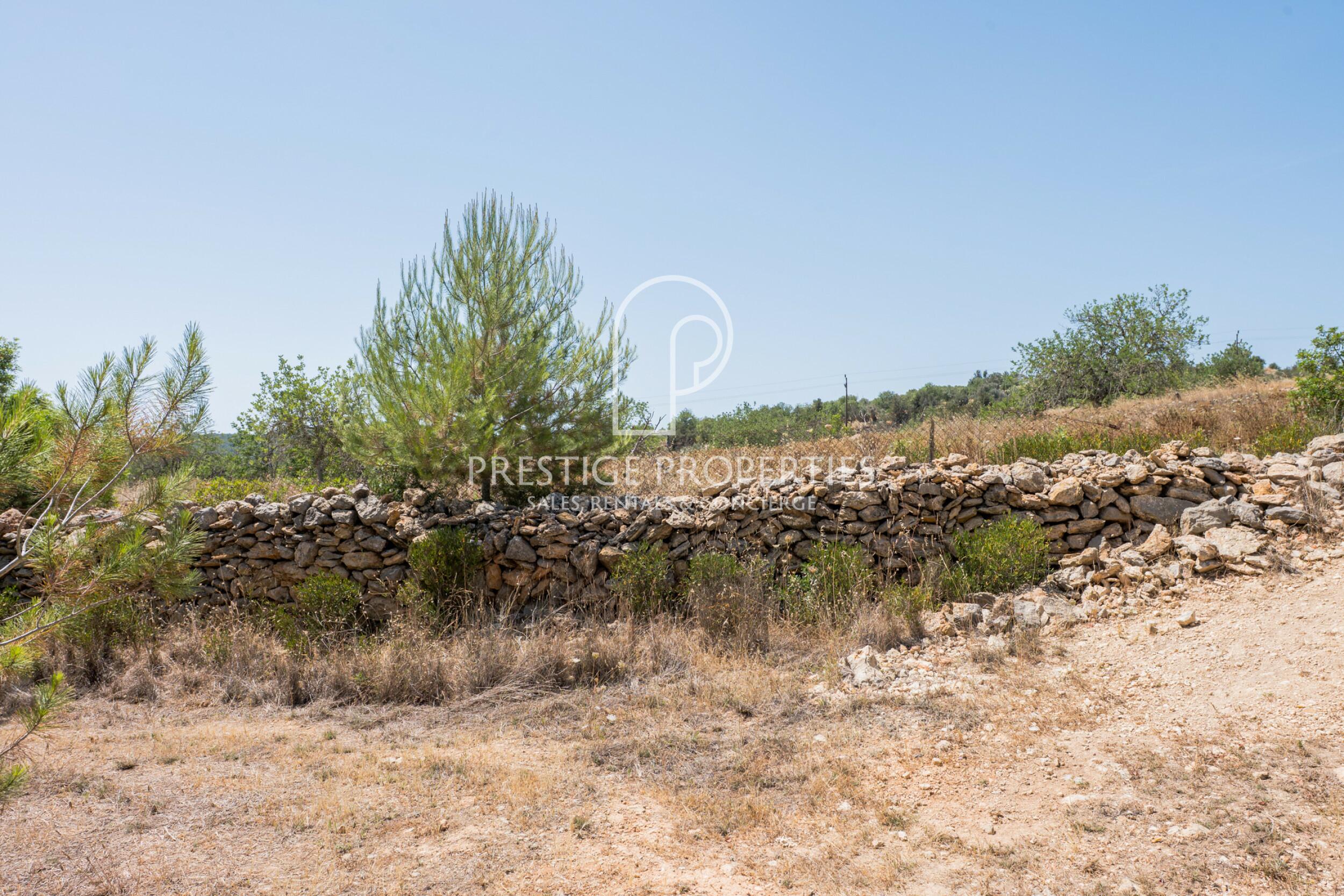 land in San Mateu D'Albarca