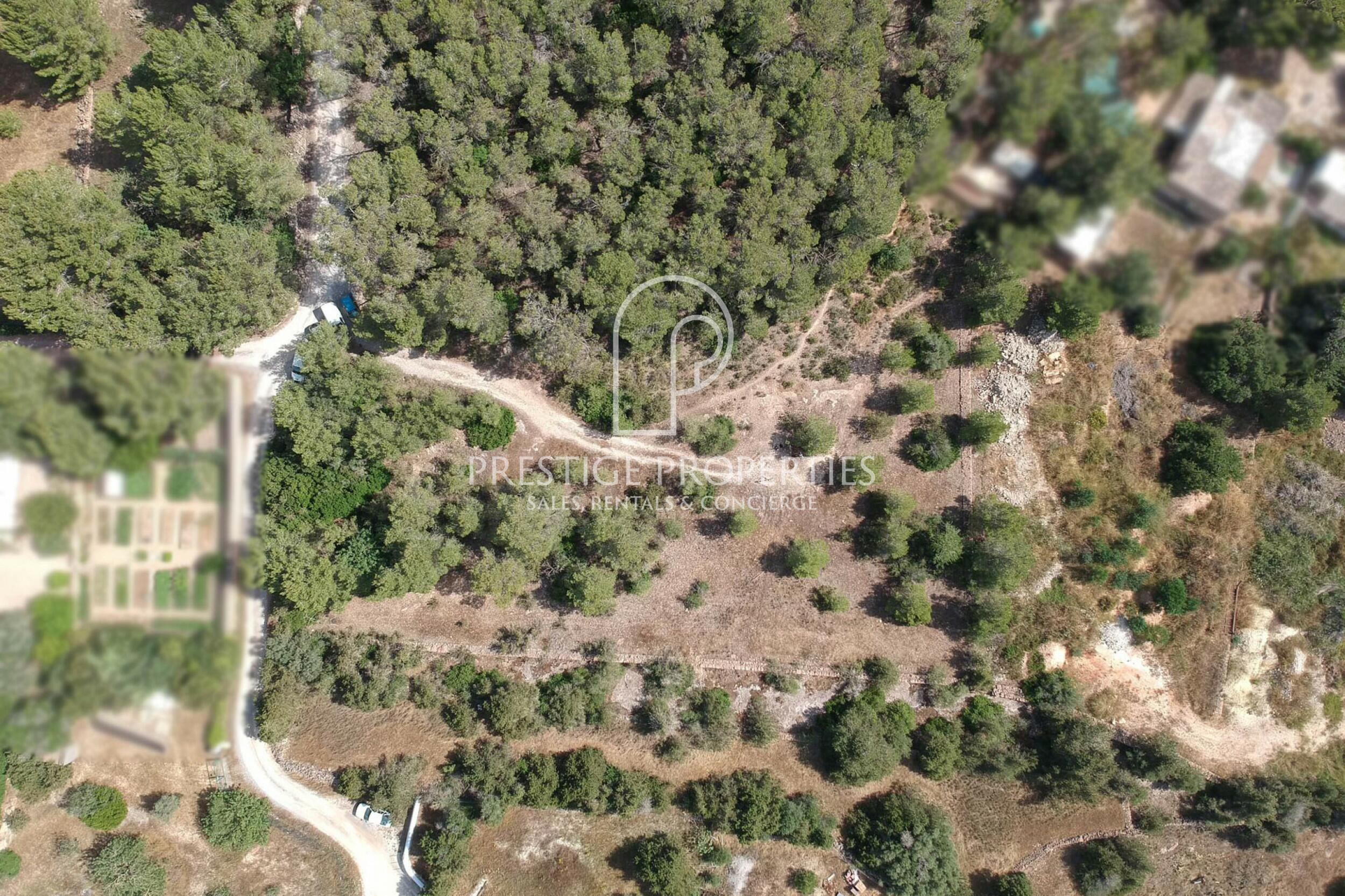land in San Rafael