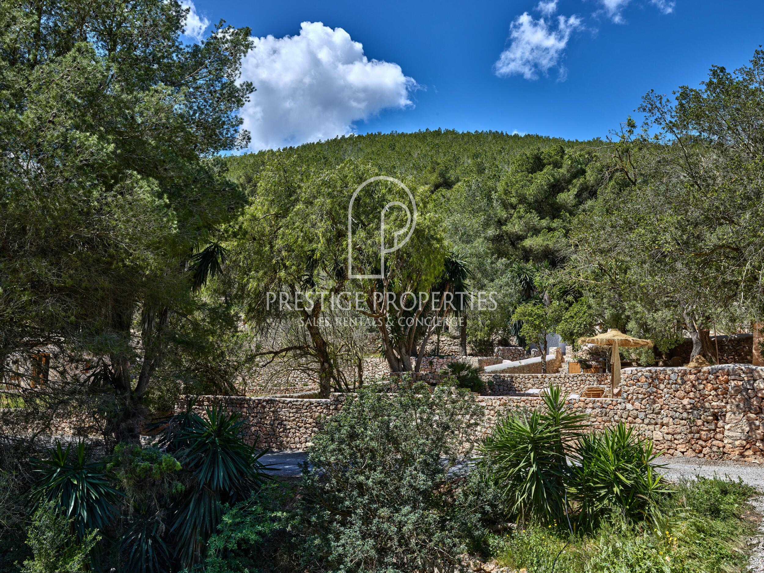 Finca in San Rafael