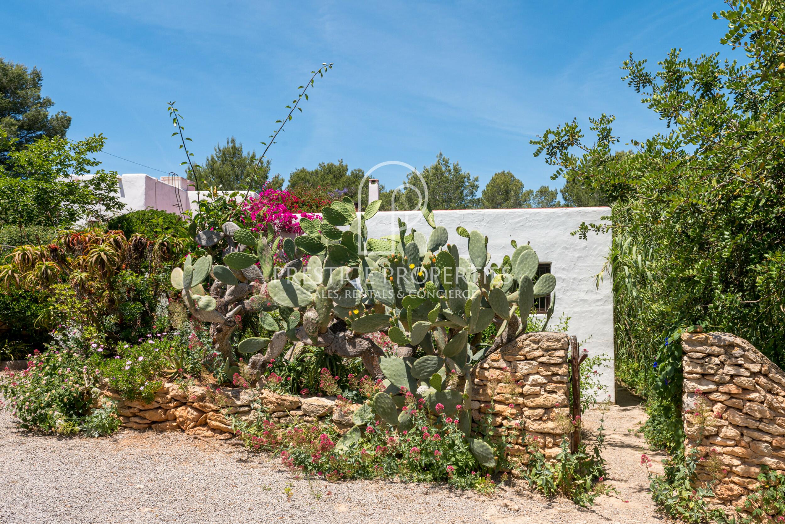Finca in Santa Gertrudis De Fruitera