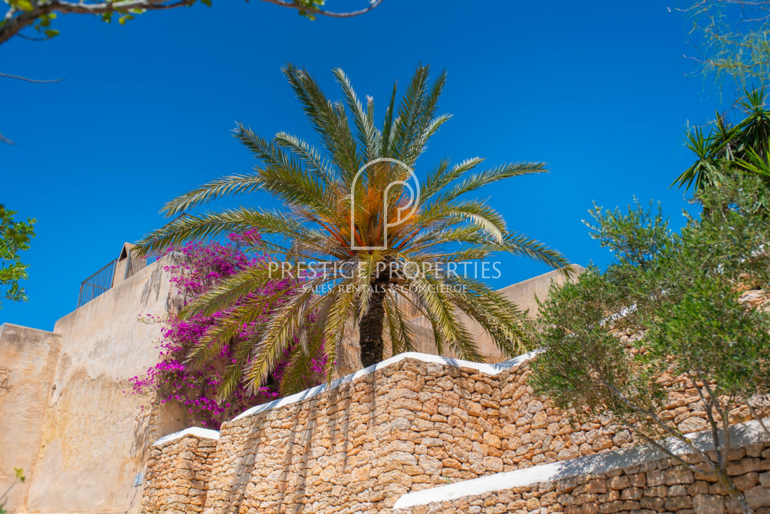 Finca in San Agustin des Vedra