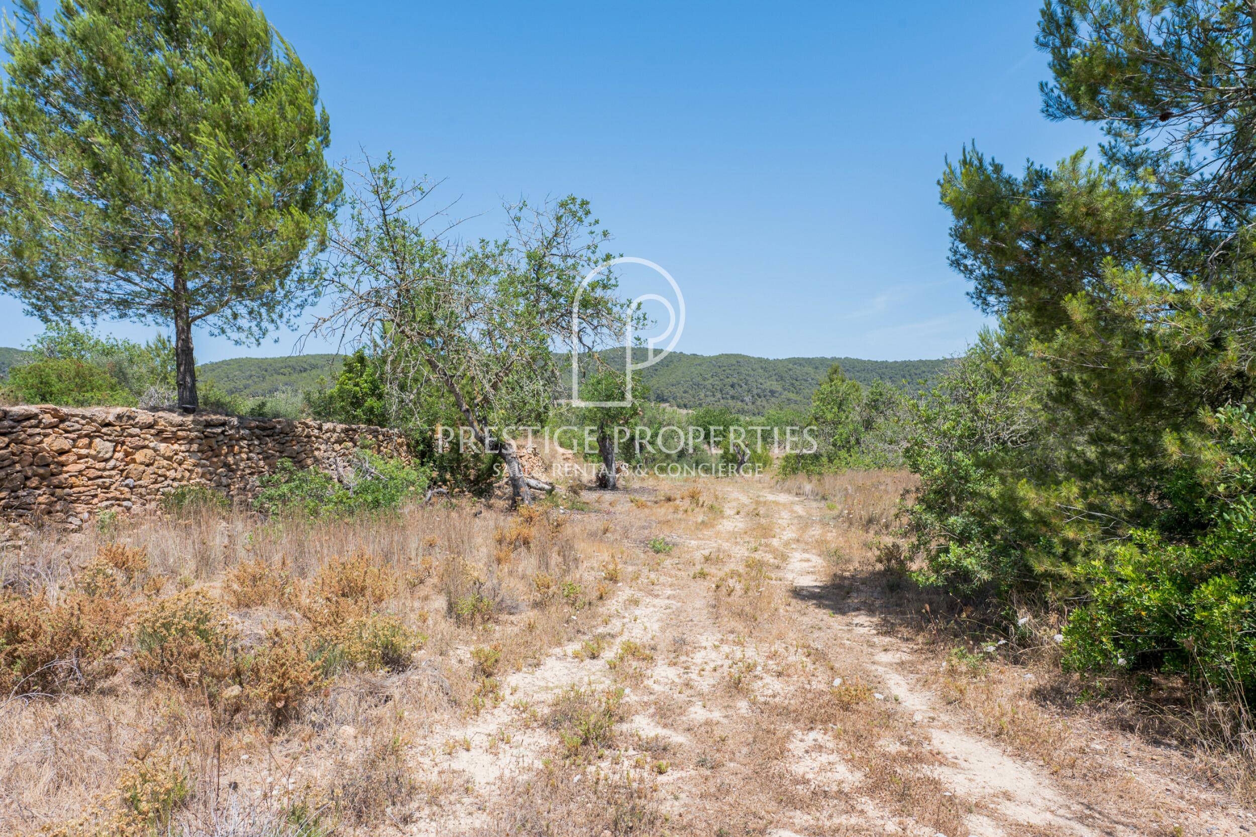 land in San Mateu D'Albarca