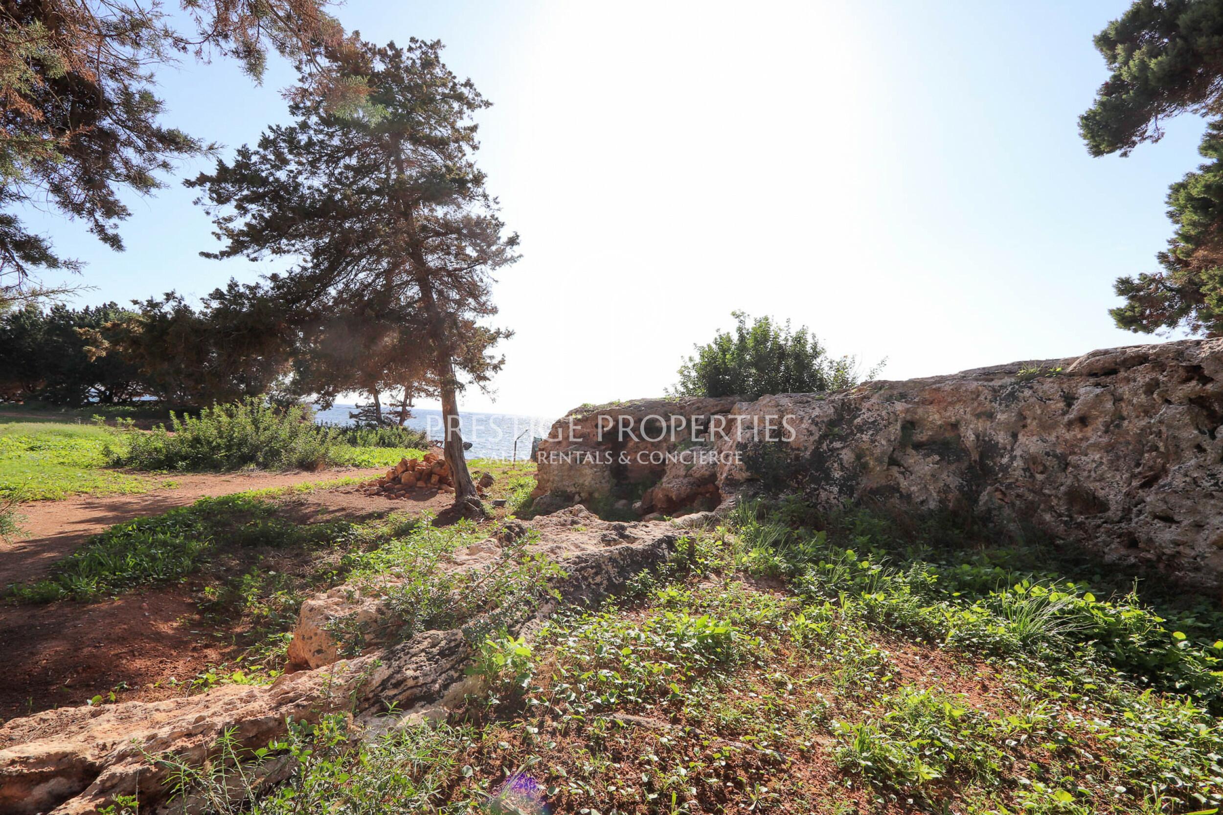 land in Es Canar