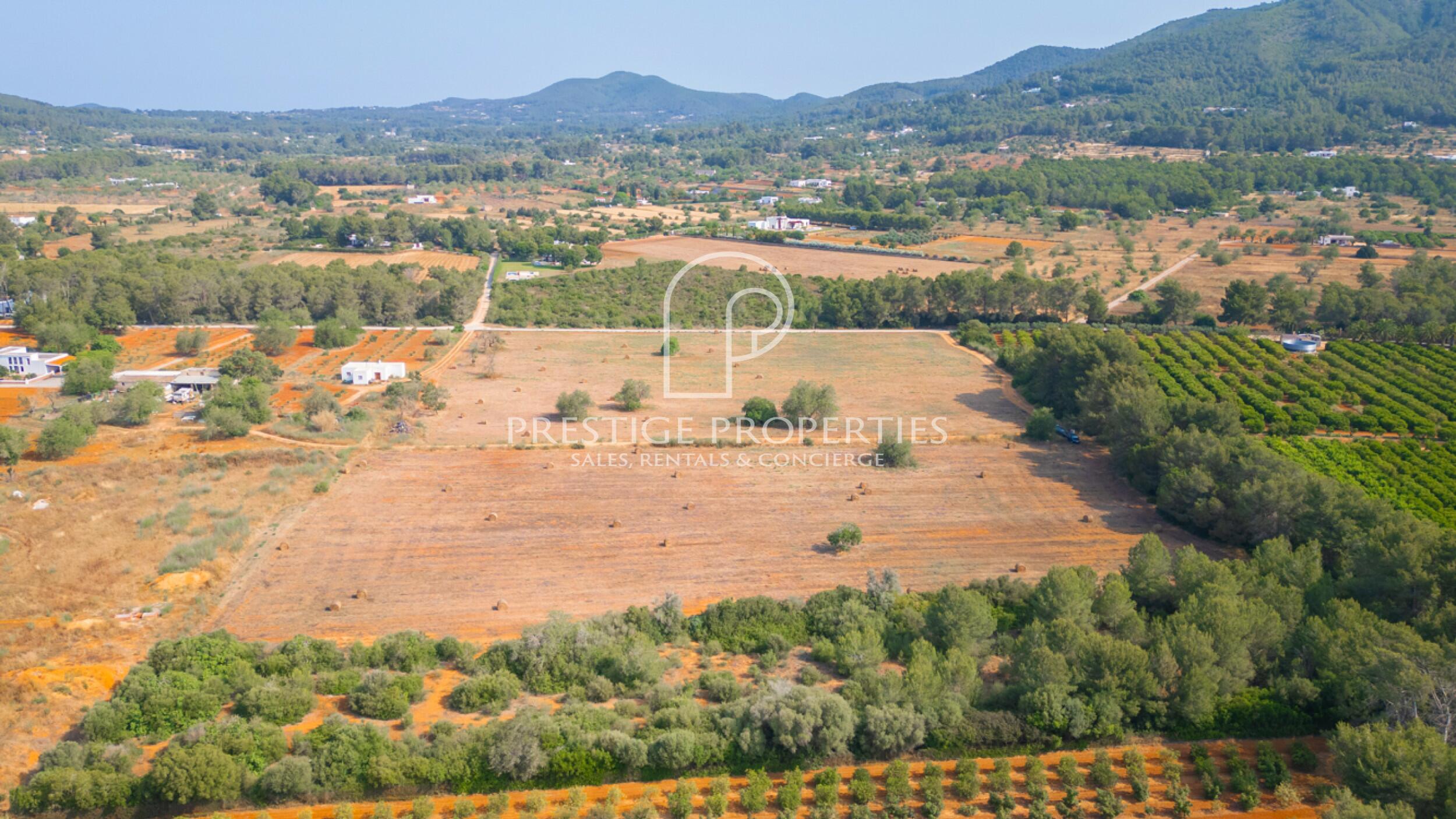 land in San Lorenzo de Balafia