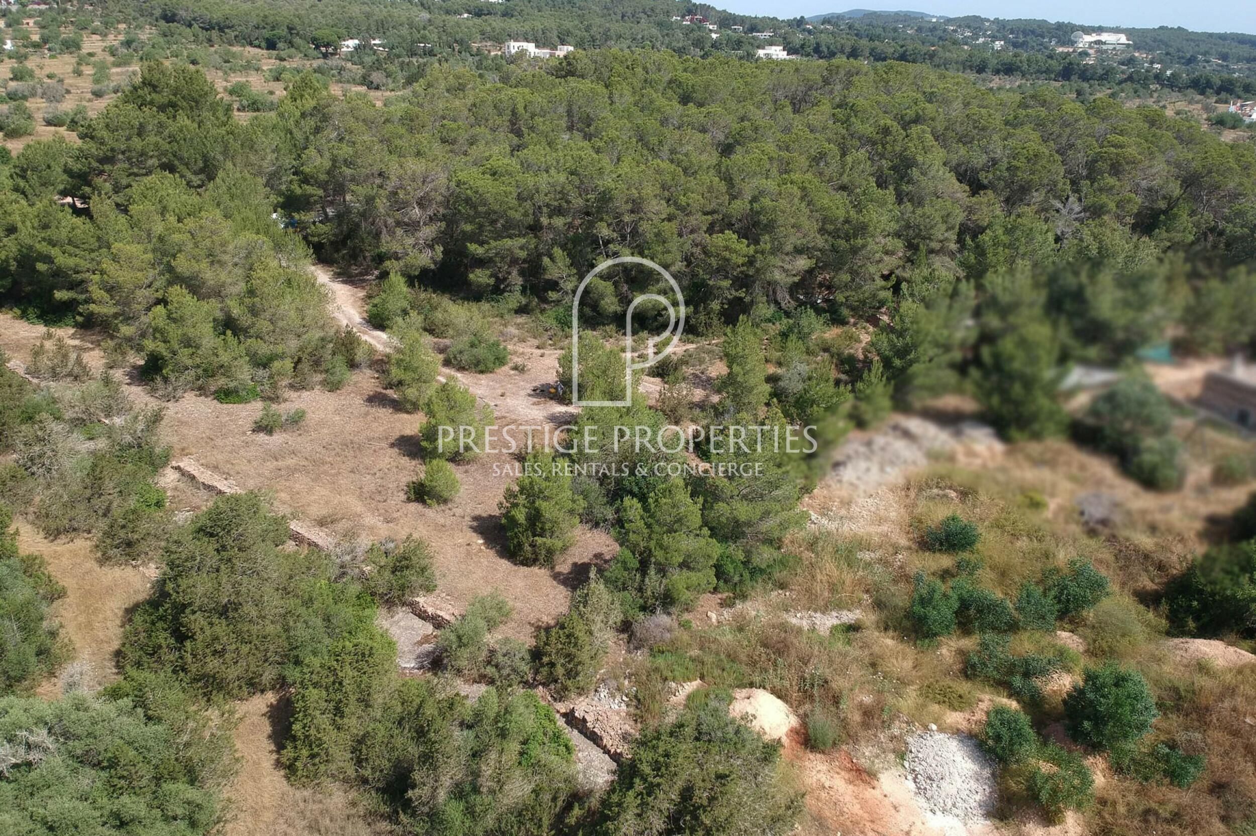 land in San Rafael