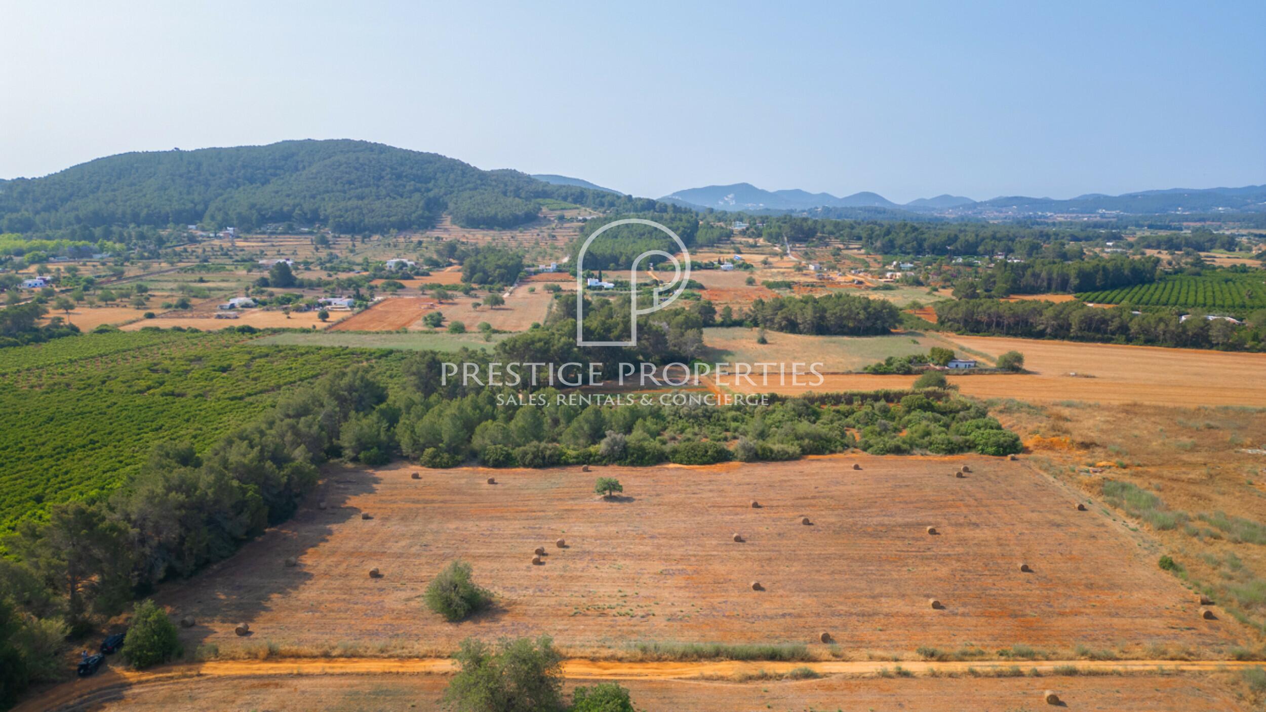 land in San Lorenzo de Balafia