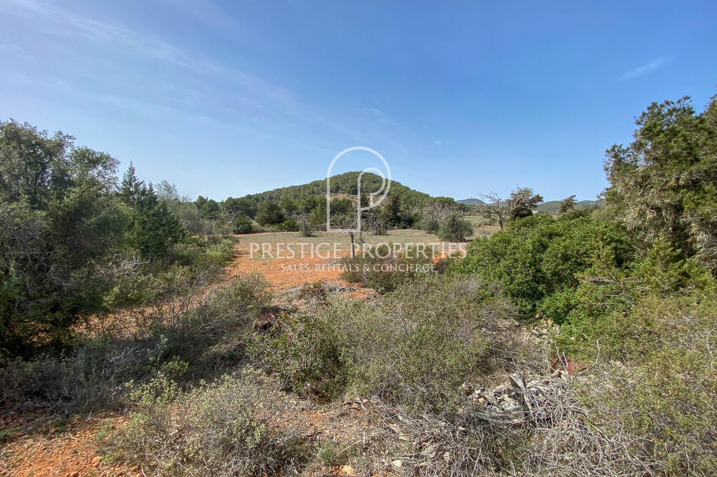 land in San Mateu D'Albarca