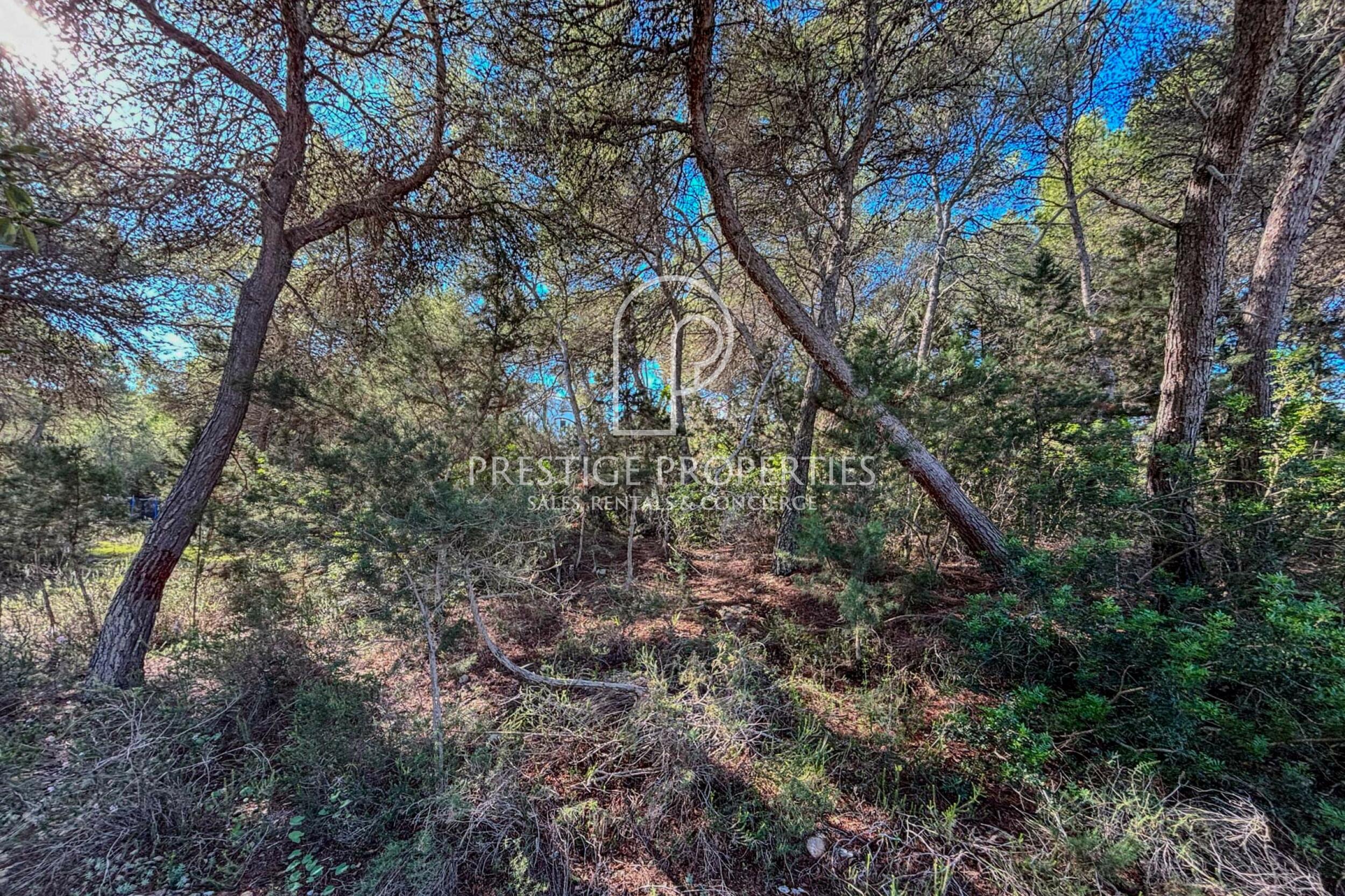 land in Cala Llenya