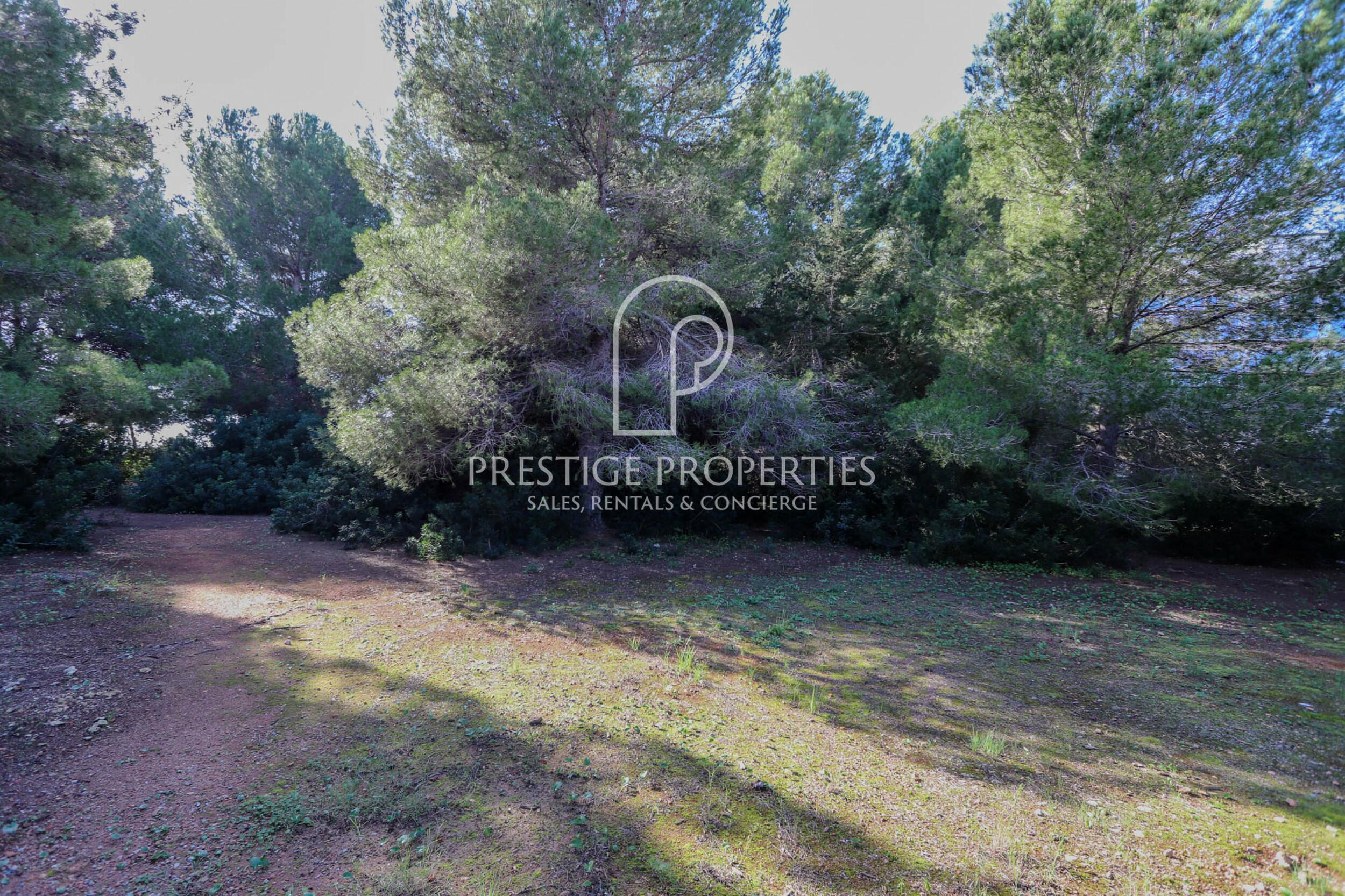 land in Es Canar