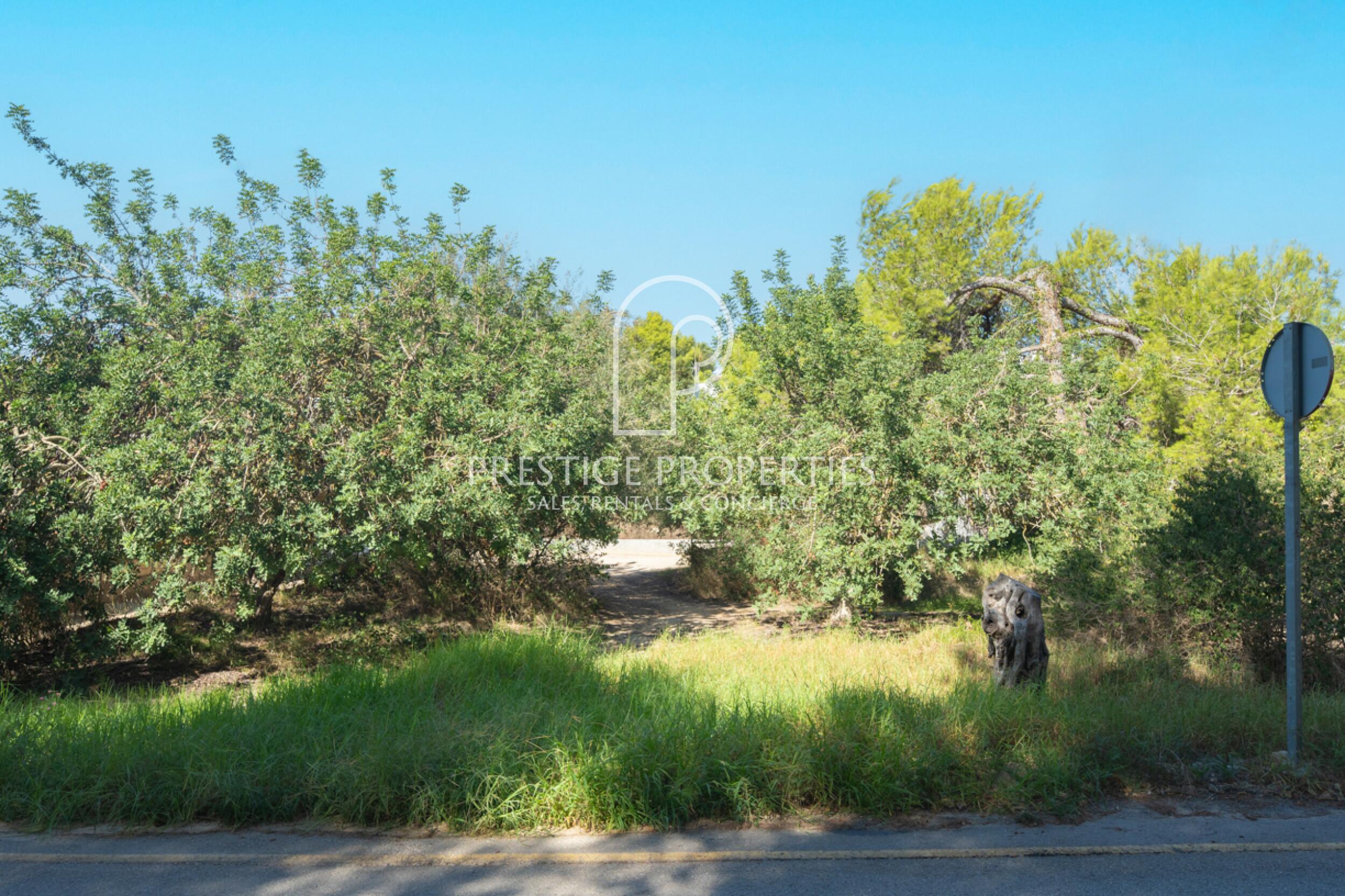 land in Ibiza (City)