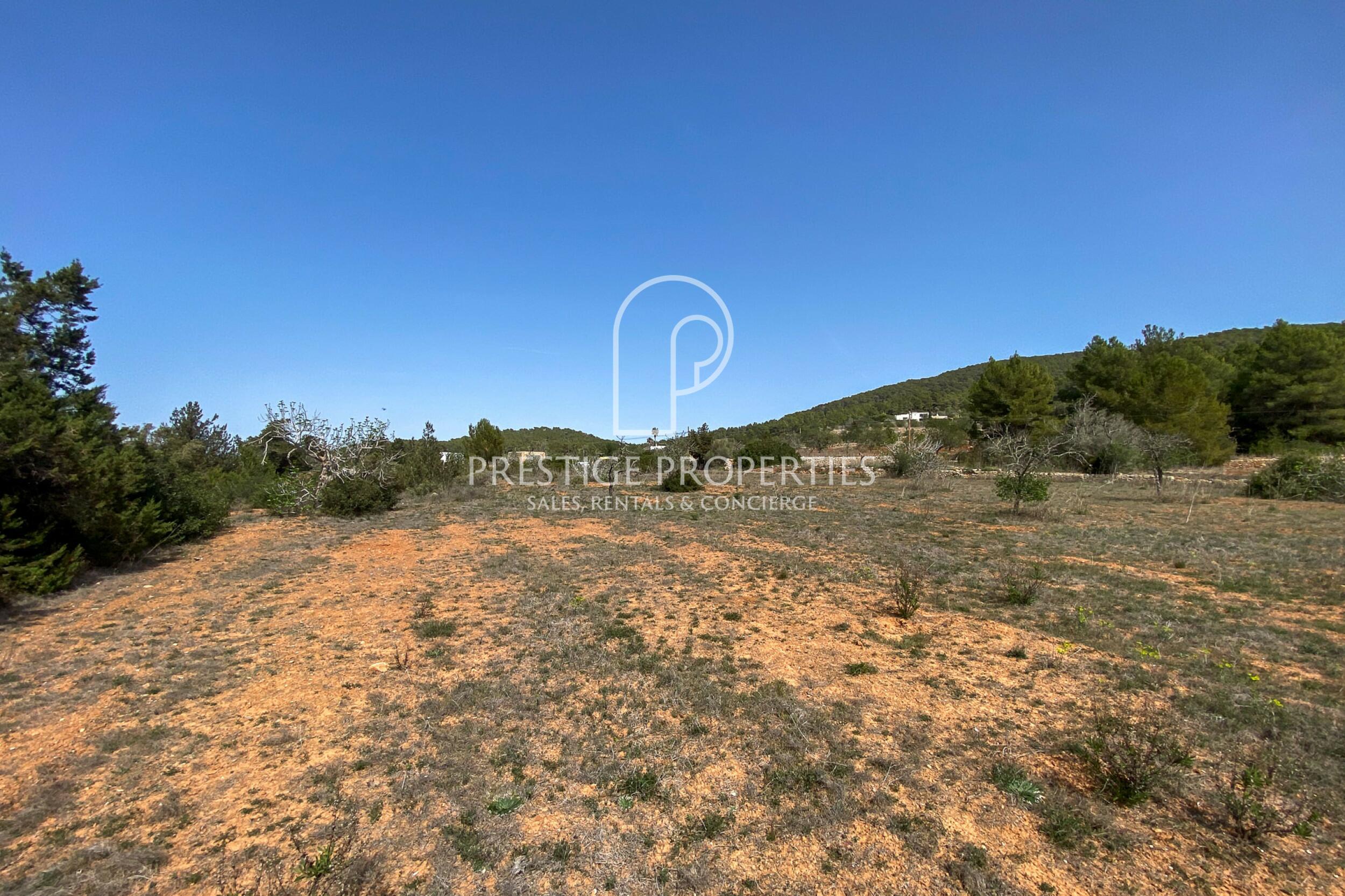 land in San Mateu D'Albarca
