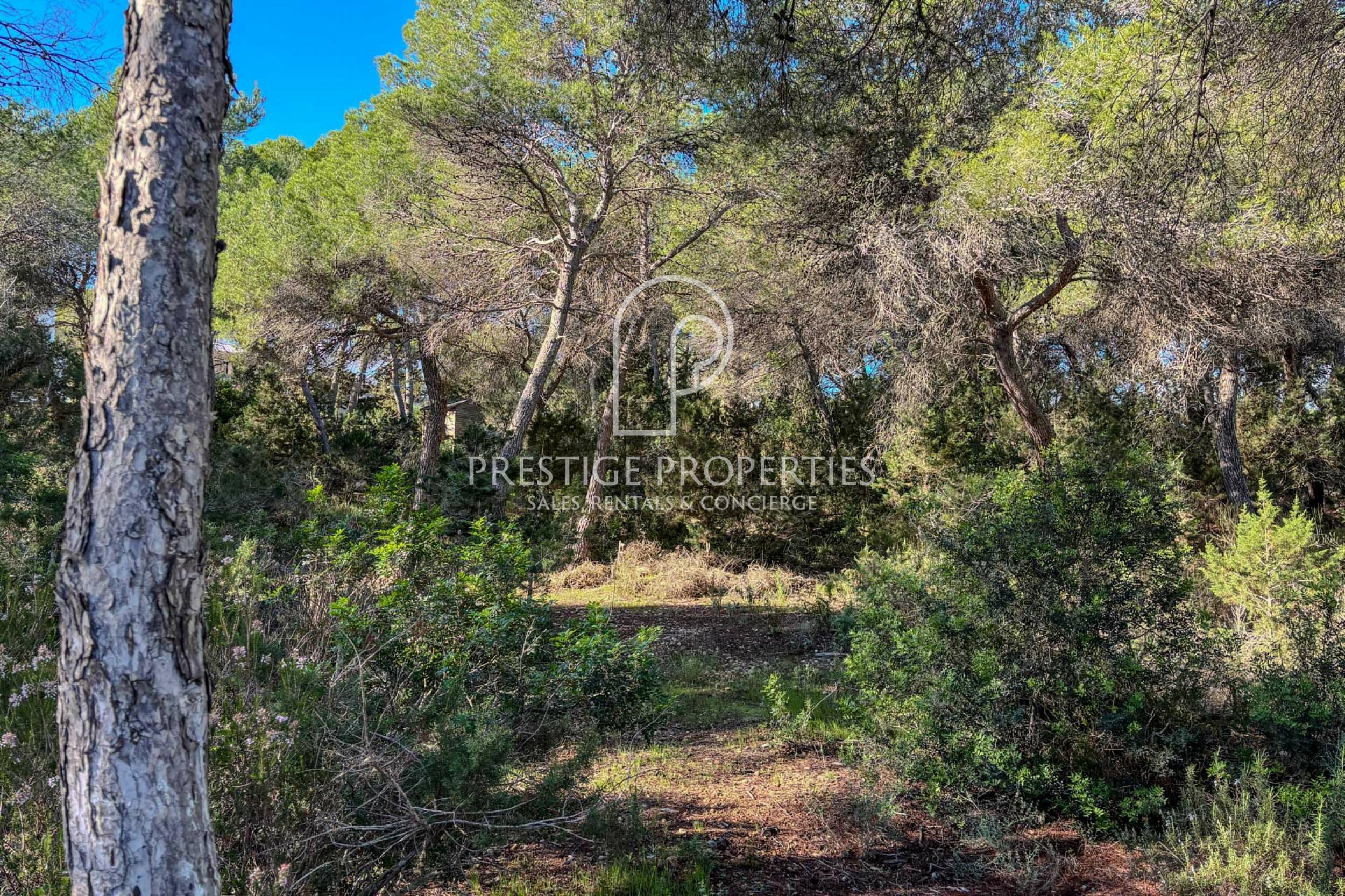 land in Cala Llenya
