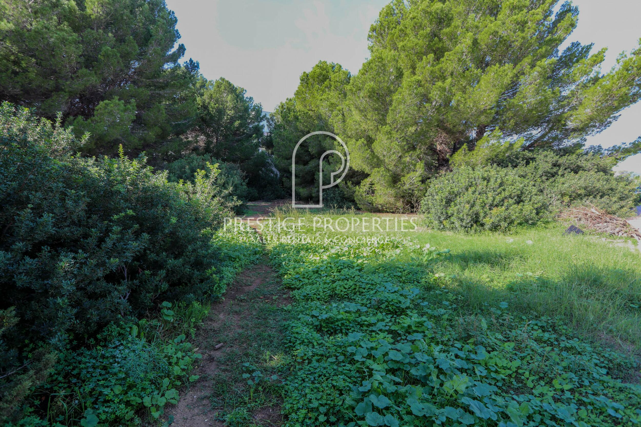land in Es Canar