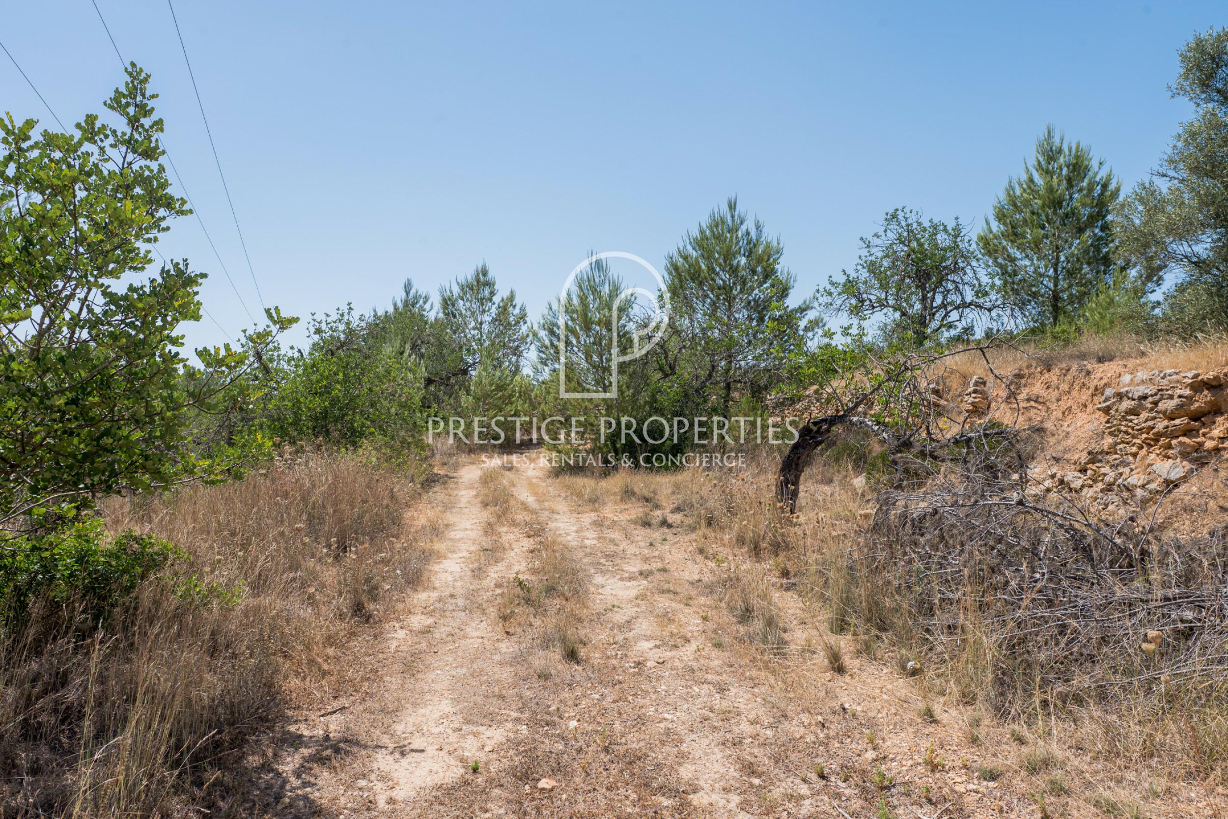 land in San Mateu D'Albarca