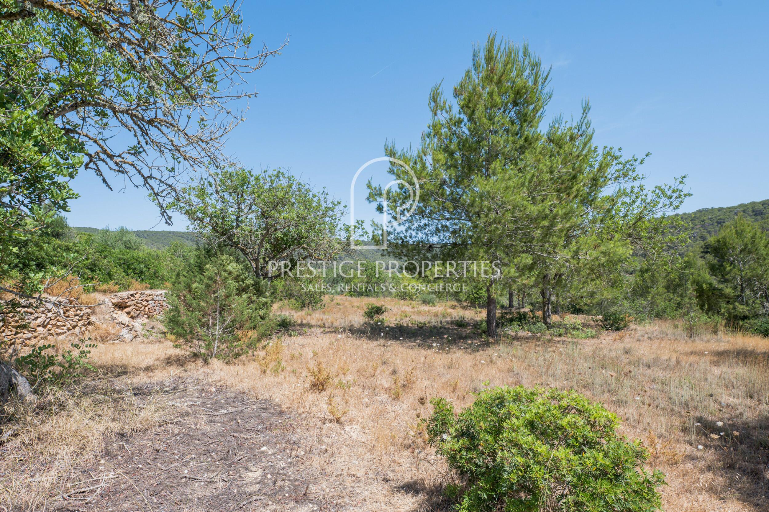 land in San Mateu D'Albarca