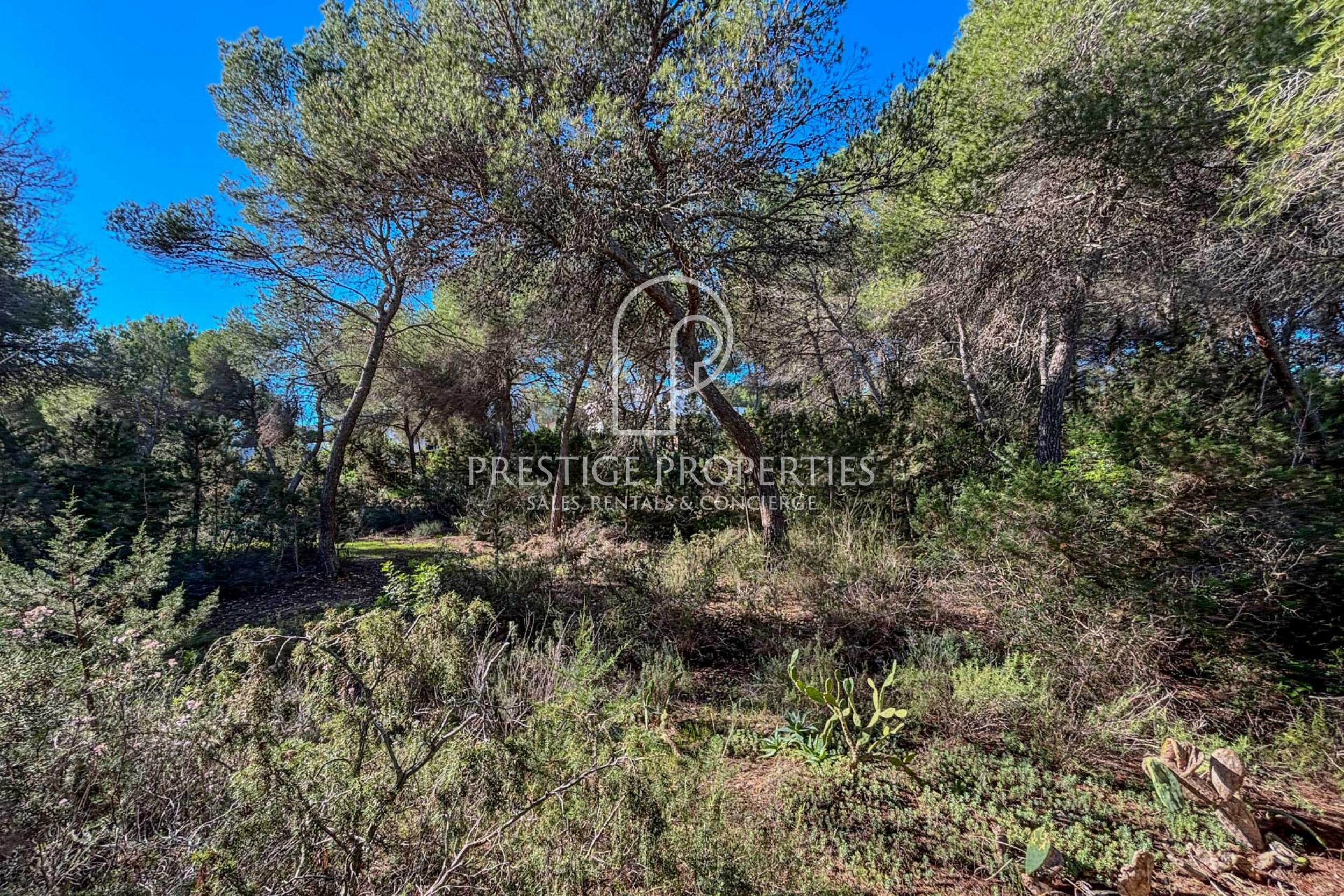 land in Cala Llenya