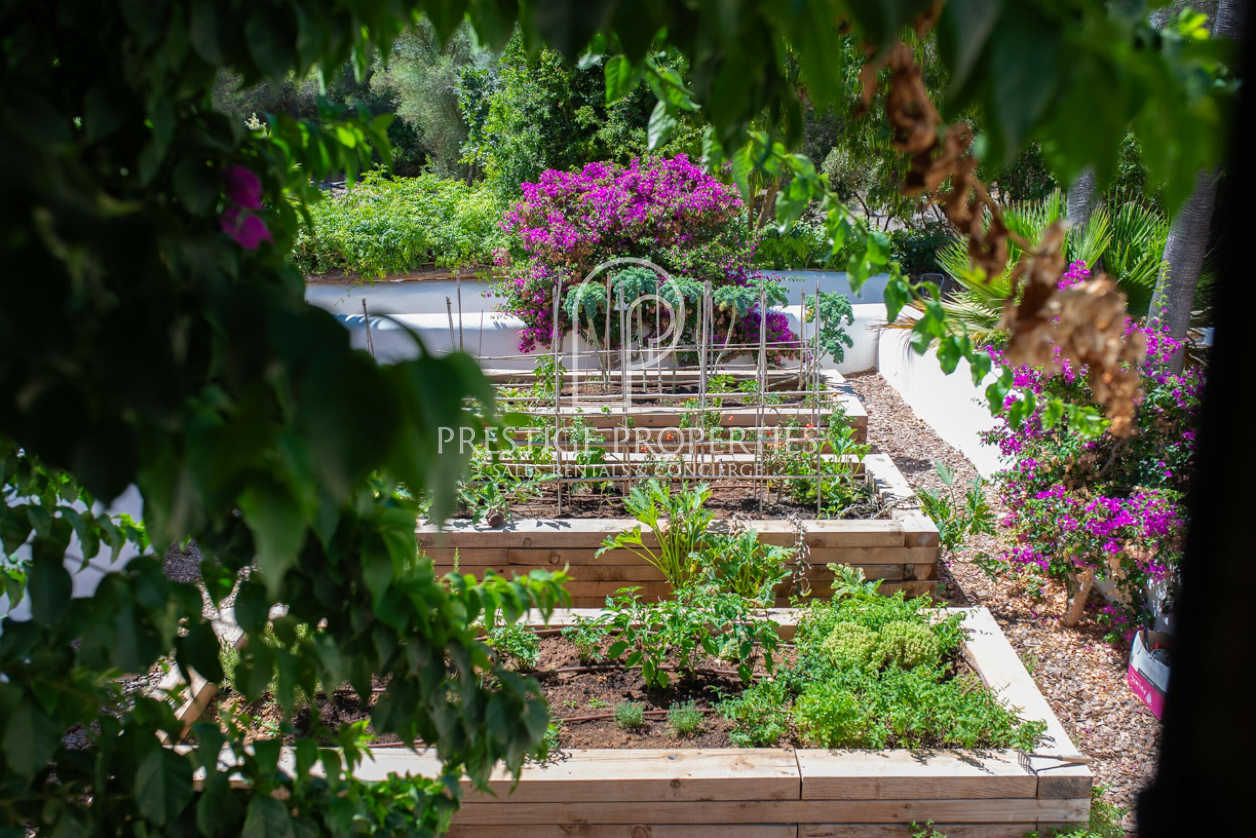 Finca in Puig den Valls