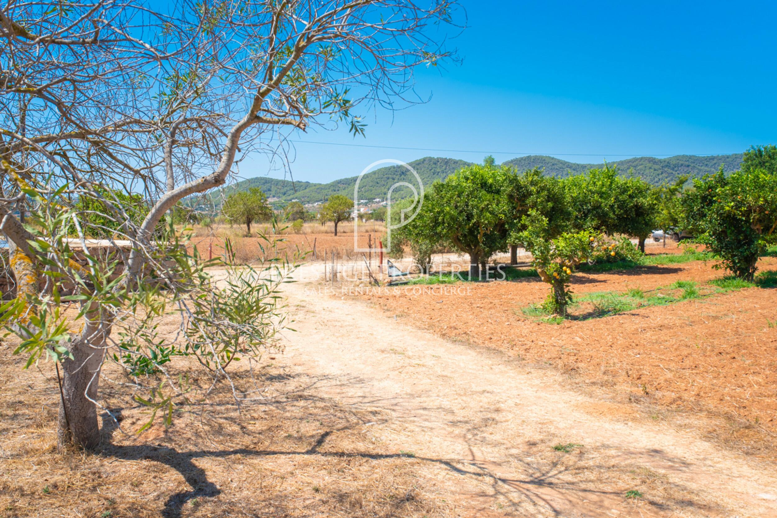 Villa in Can Tomas