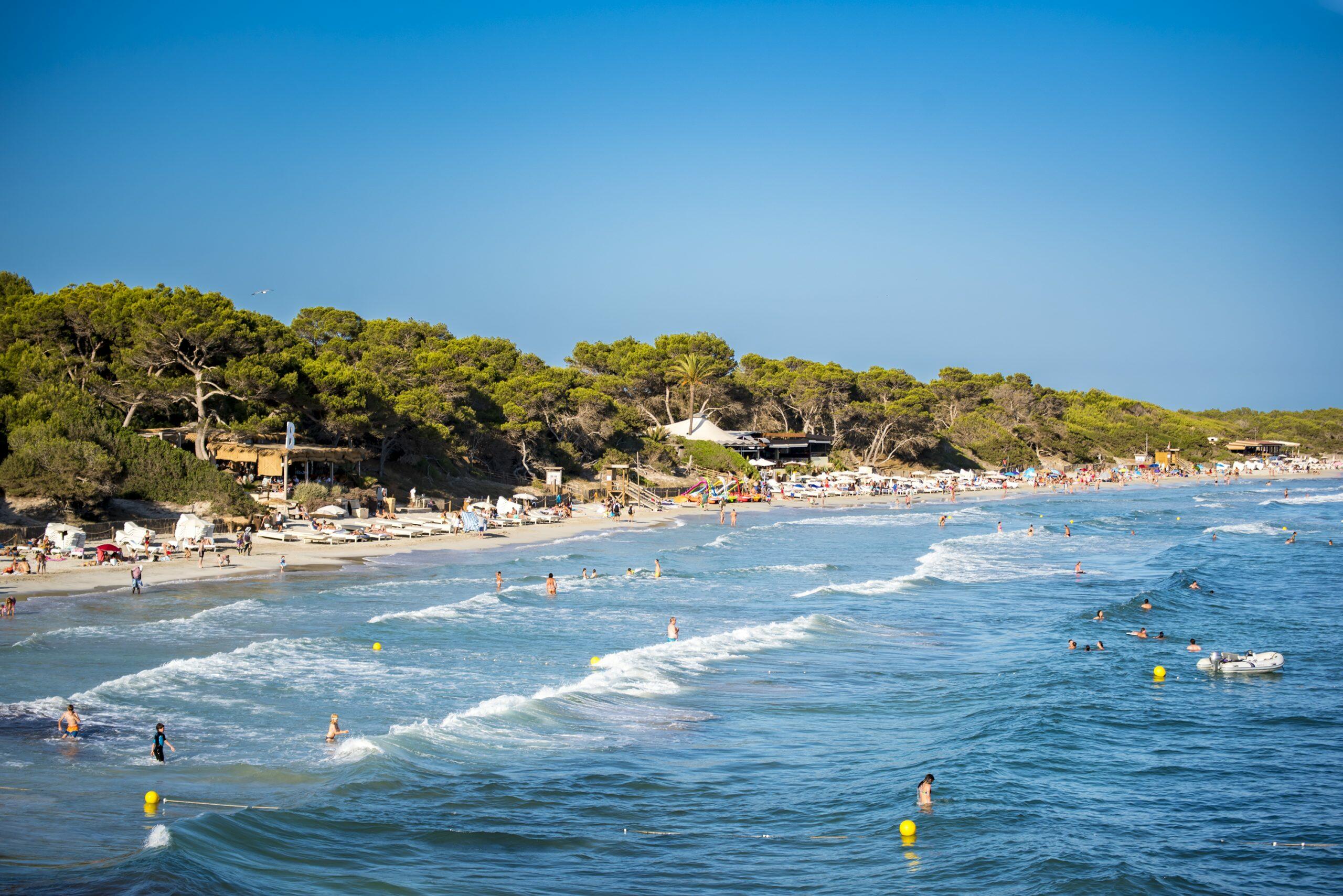 Ses Salines beach, Ibiza, with swimmers in turquoise waves and sun loungers along a sandy shore backed by pine trees.