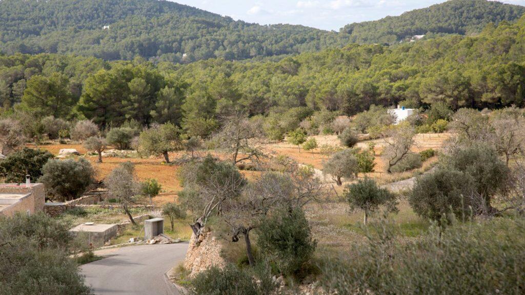 Open Road, Santa Agnes Ibiza