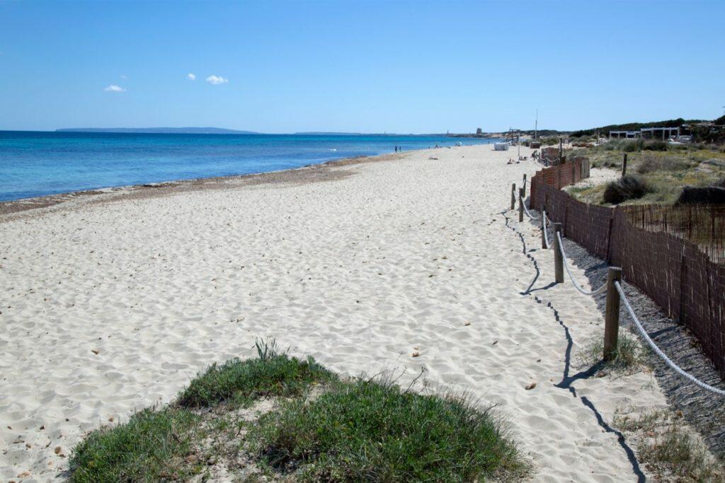 Living in Ibiza: Es Cavallet beach in Las Salinas area