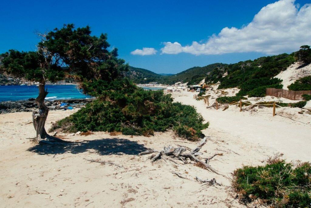 Las Salinas beach Ibiza