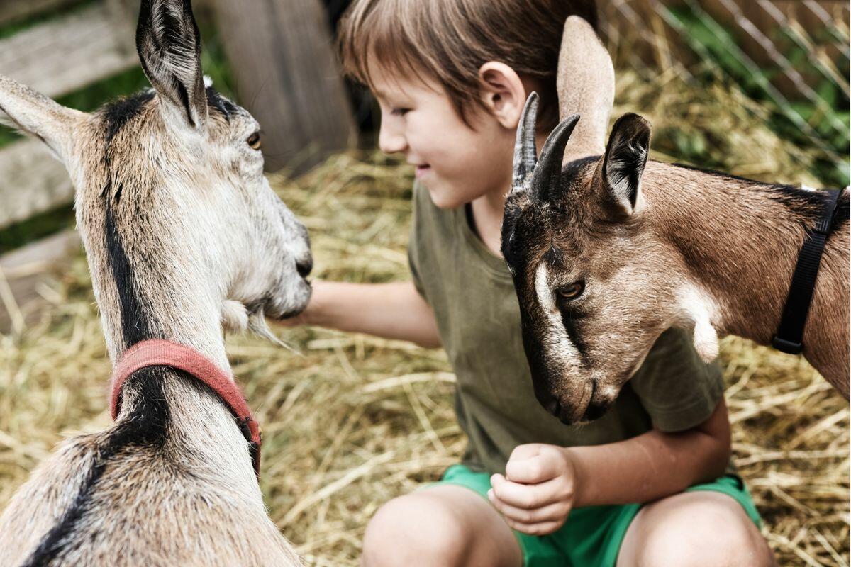 Can Muson Eco-Farm Ibiza