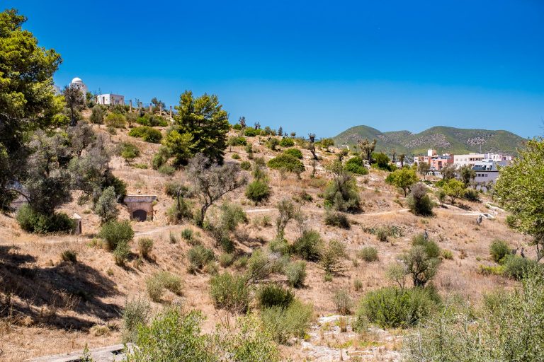 Monographic Museum of Puig des Molins