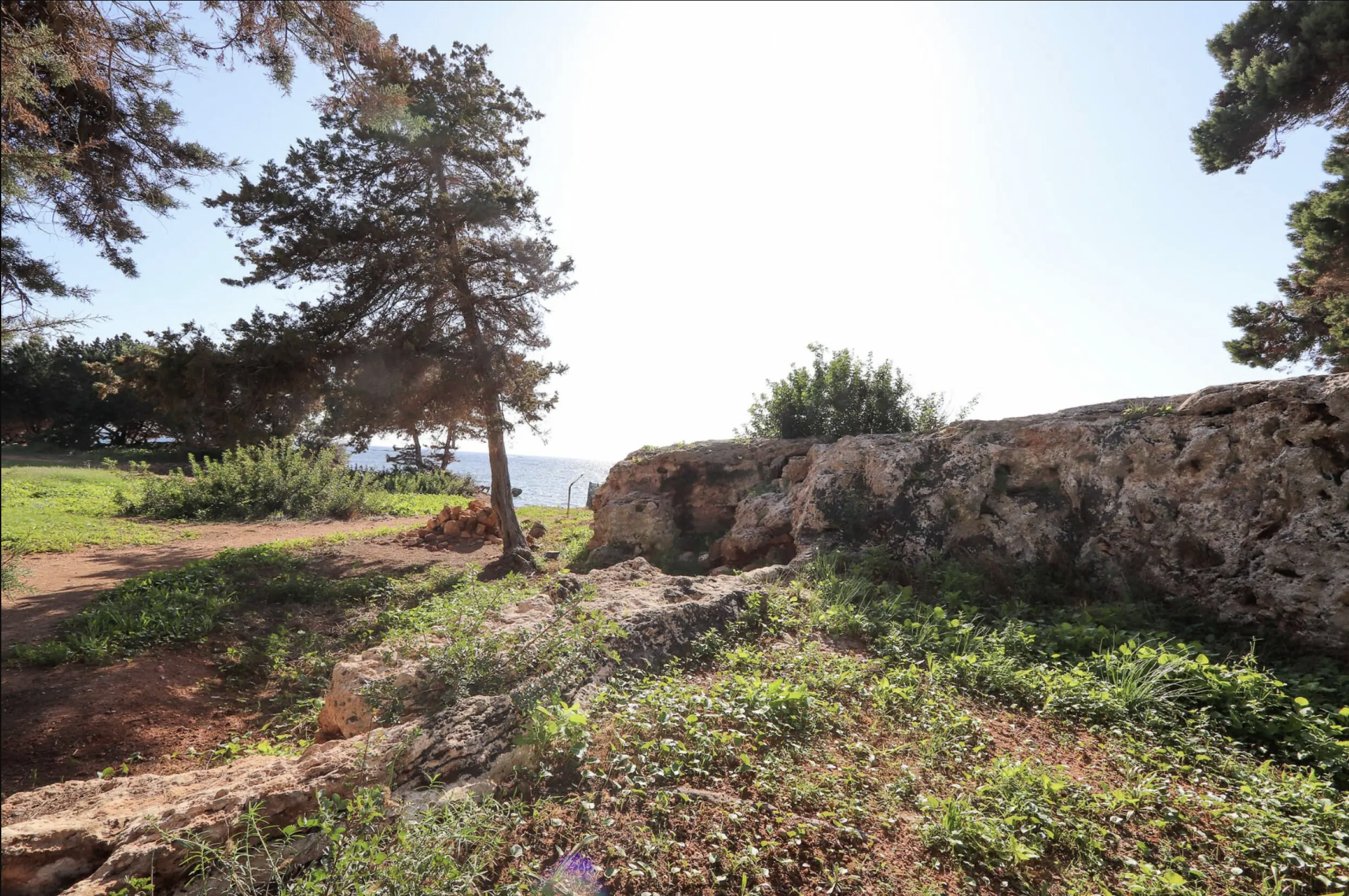 Land for sale Ibiza Terreno Martina