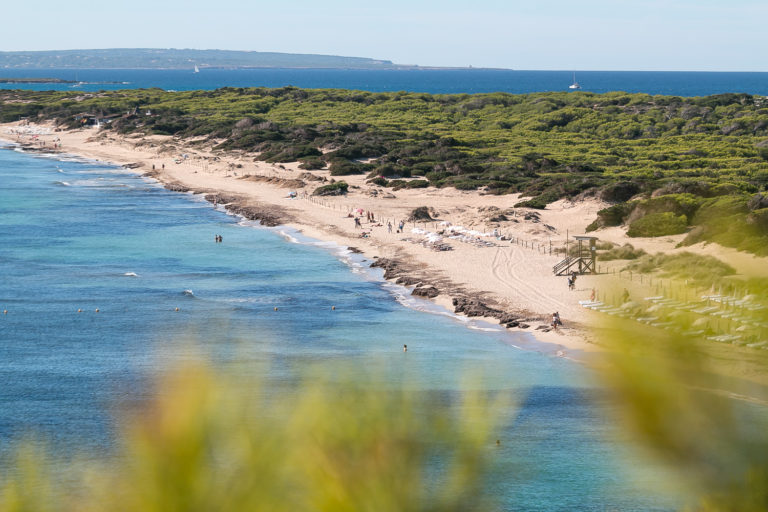 Las Salinas (Ses Salines)