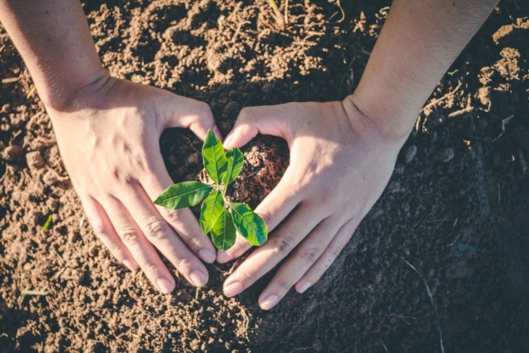How to Reduce CO₂ Emissions and Calculate Your Carbon Footprint