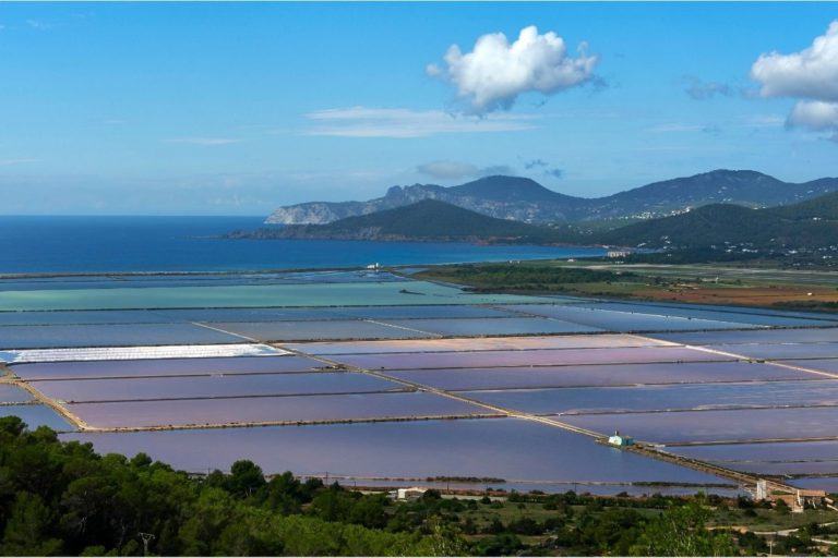 Living in Ibiza: Life in Las Salinas